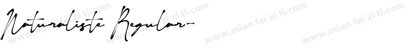 Naturaliste Regular字体转换